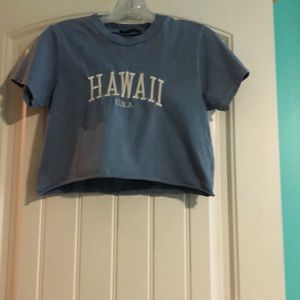 Hawaii Brady Melville crop top